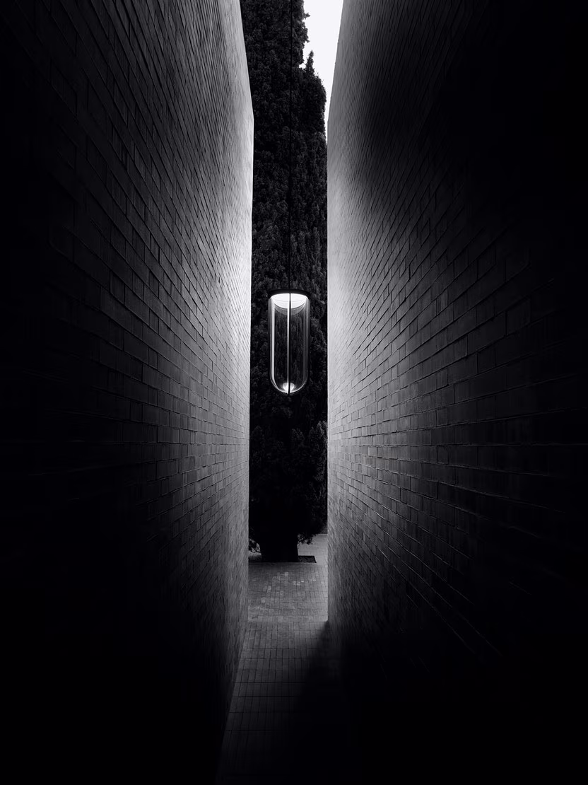 In Vitro Suspension view 2