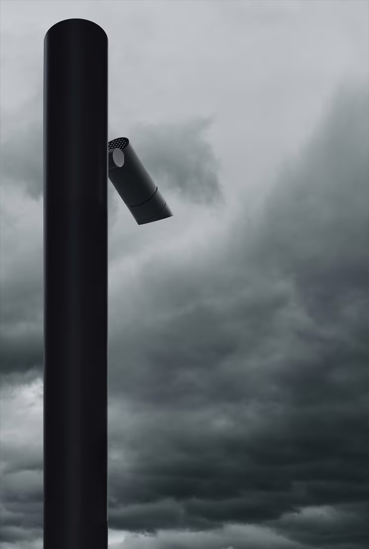 Spine Pole Top view 2