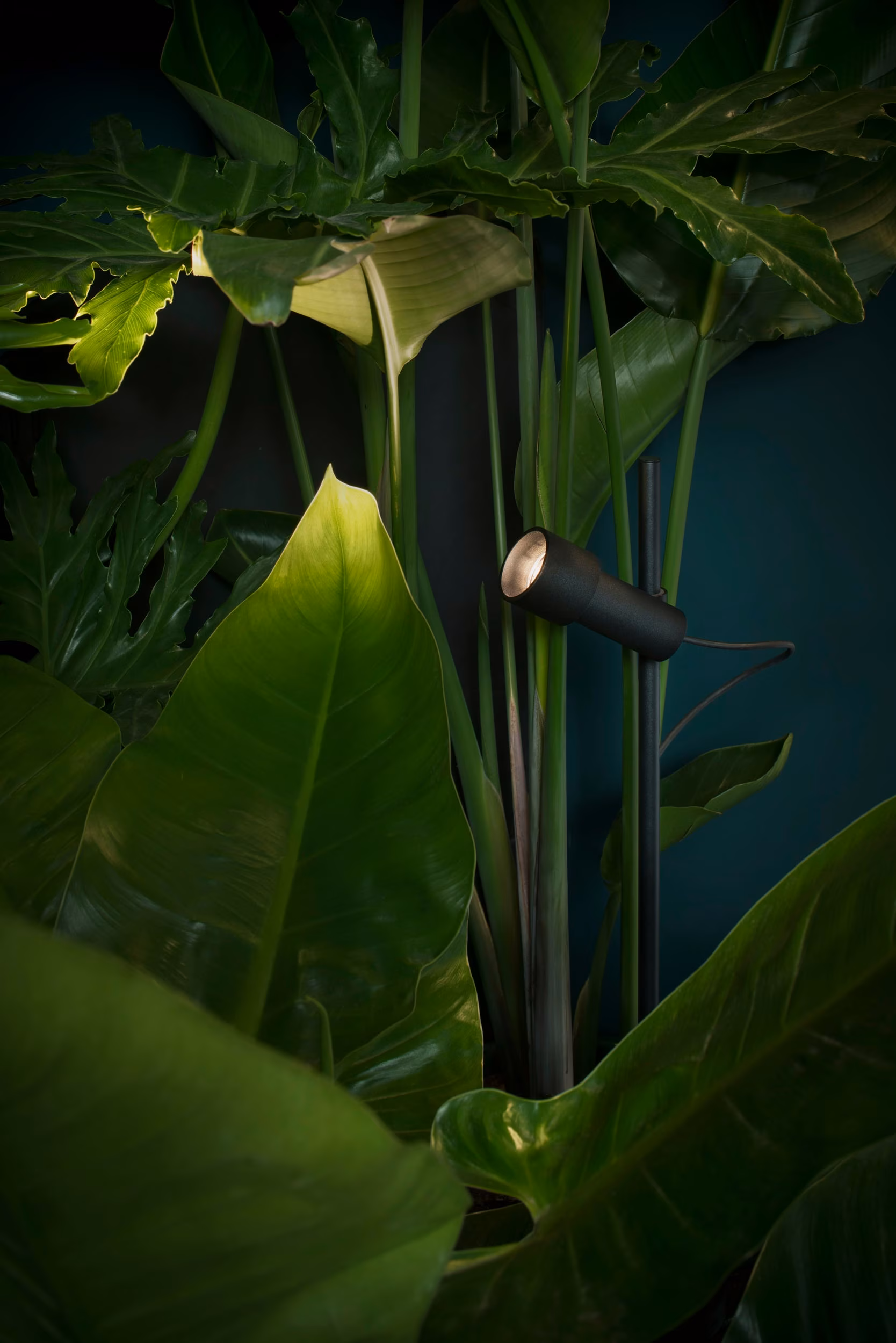 Palosanto Bollard view 5