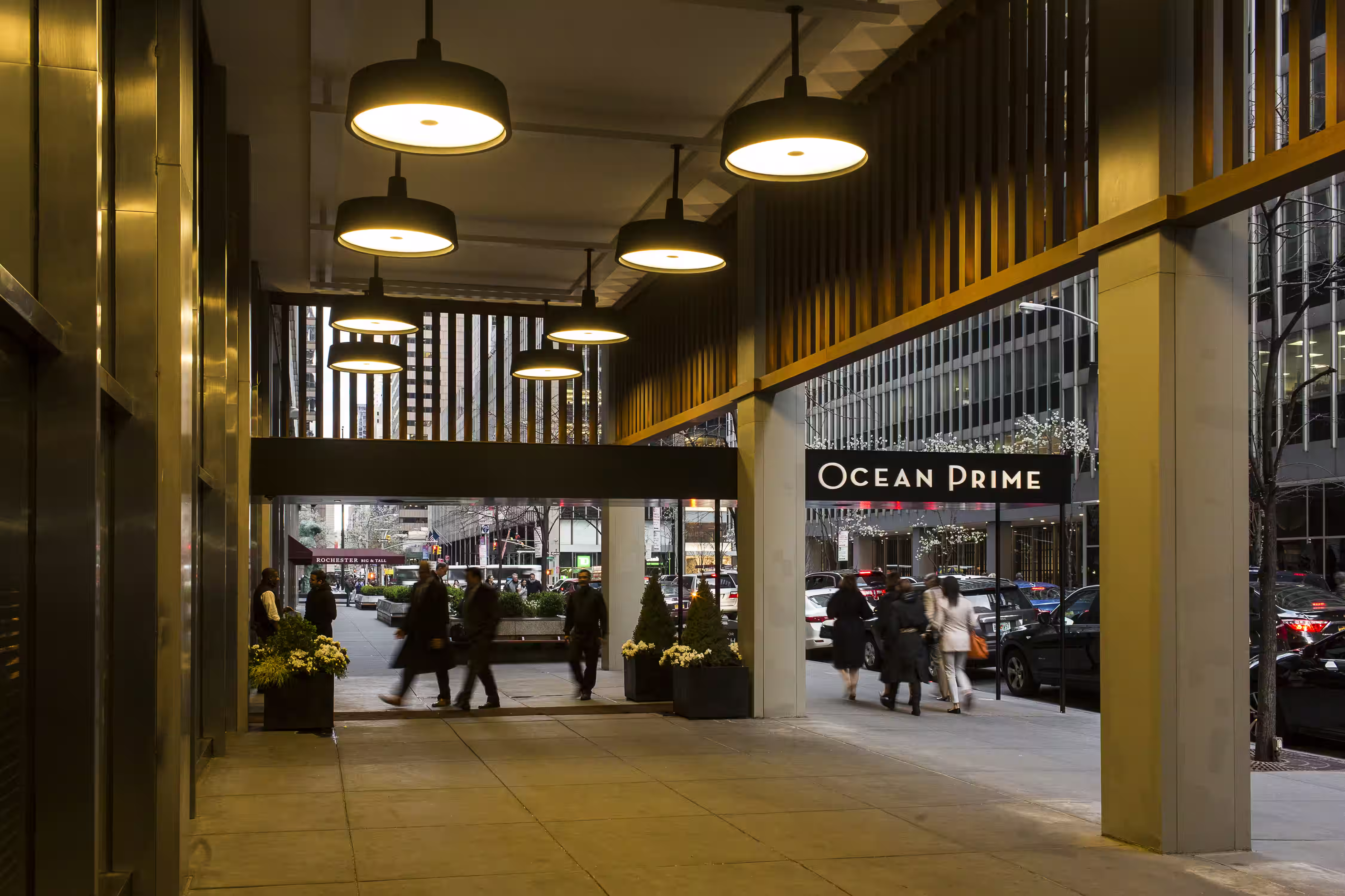 Soho Outdoor Ceiling