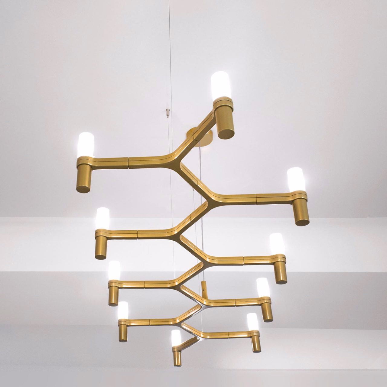 Crown Plana Linea view 2